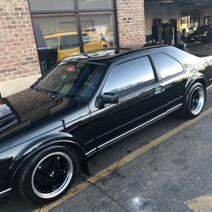 Meet your Posher, Roy